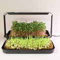 Germination Kit 16W LED Light Microgreen Grow Medium Smart Home Kits Hydroponic Growing Systems