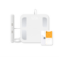 For Welland Professional Smart 8 Electrodes Digital Bathroom Scale Fat Body Index Scale Sensor Technology Battery Power 180kg