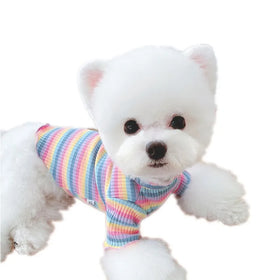 Spring Autumn Colorful Vest Small Cat Puppy Dog Fashions Pet Clothes rainbow