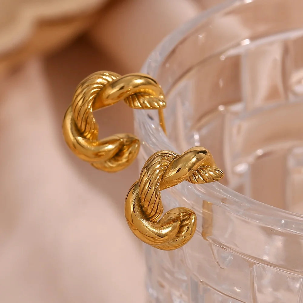 2023 Chunky Twisted Hoop Earrings Gold Plated Stainless Steel Fashion Jewelry for Ladies