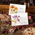 50pcs/pack Forest Whispers Series Dry Flower PET Stickers Pink Mist Dream Mirror