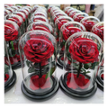 2025 Rosa Eterna Preserved Rose Glass Gift Box LED Dome Verre Ball Shape Valentine Gifts Eternelle Rose Glass Bell
