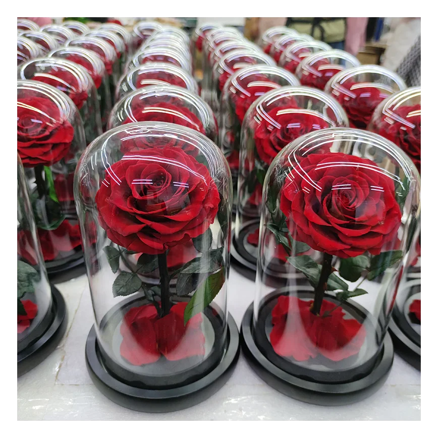 2025 Rosa Eterna Preserved Rose Glass Gift Box LED Dome Verre Ball Shape Valentine Gifts Eternelle Rose Glass Bell