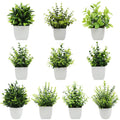 Mydays Wholesale OEM/ODM Artificial Mini Potted Eucalyptus Plant PVC High Simulation Graduation Home Office Decoration 15x10cm