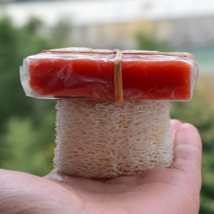 2cm Thick Loofah Sponge Exfoliating Loofah Pads  Luffa Soap Holder Mold Saver Loofah Slices