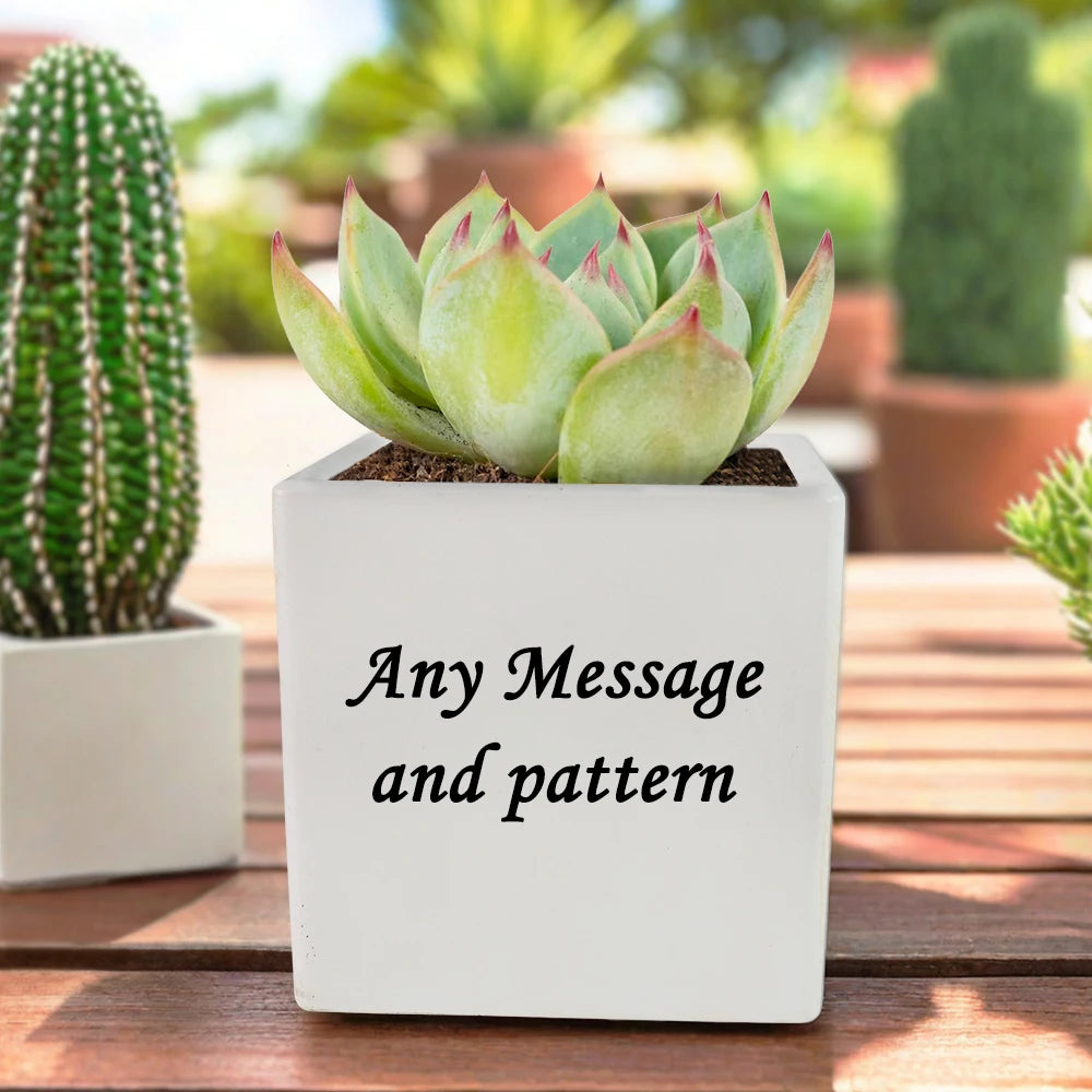 Resin Hand-Painted Irregular Shape Vase with Model Pattern Thanksgiving Home & Desk Decor Mini Planter Pot