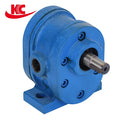 Oil Transfer Pump Oil Transfer Gear Pump Cast Iron Oil Pump Factory Direct Sales
