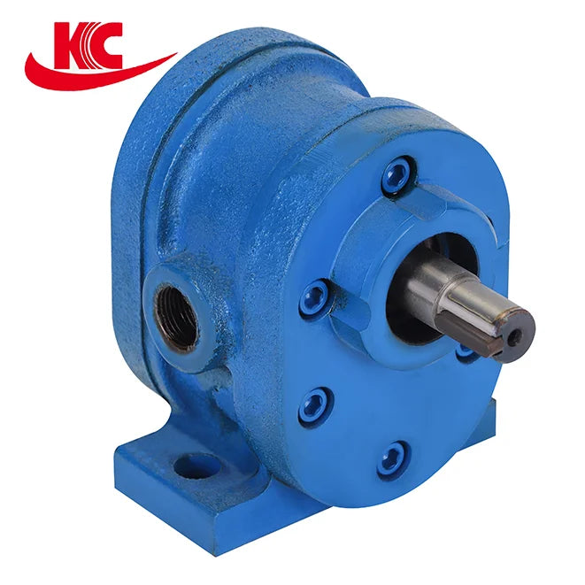 Oil Transfer Pump Oil Transfer Gear Pump Cast Iron Oil Pump Factory Direct Sales