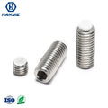 Professional Metric SS304 Hollow Grub Cylindrical Point Hex Socket Plastic Tip Dog Point Rust Resistant Set Screws