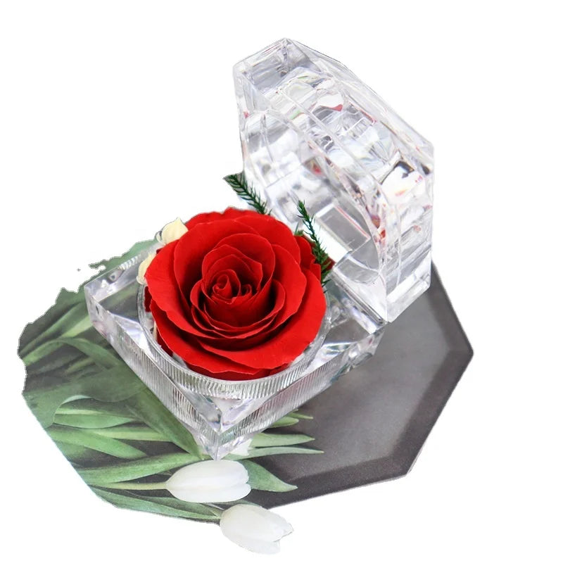 Wholesale Luxury Small Valentines Day Gift Jewelry Ring Box Preserved Rose Eternal Roses Flowers in Gift Box Best Gift