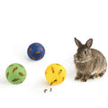 New Special Pet Rabbit Toy Small Animal Treat Ball Vinyl Snack Ball Pet Rabbit Toys