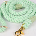 China Manufacturer Multi-Colored Durable Soft Cotton Twisted Rope Dog Lead Wholesale Braided Dog Leash