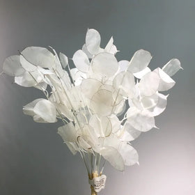 M223 Hot Sale Money Plant Seeds Bouquet Faux Plant Silver Dollar Plant Lunaria Annua Pearl Stems Silk Artificial Lunaria Flower