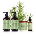 Wholesale Organic Natural Hair Care Set Natural Herbal Formula Rosemary Hair Care for Growth Hair Loss