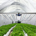 JK Brand Indoor Greenhouse Plant Growth Lamp TOP06 Pro 720W 1000W Growlights Aluminum IP65 LED Grow Lights