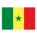 Wholesale Ready to Ship National 3x5ft the Republican of Senegal Country Flag