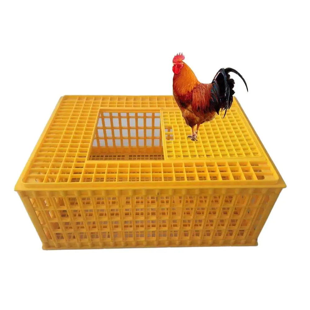 New Plastic Broiler Transport Crates for Live Poultry and Chicken Transport Stackable Foldable with Long Service Life