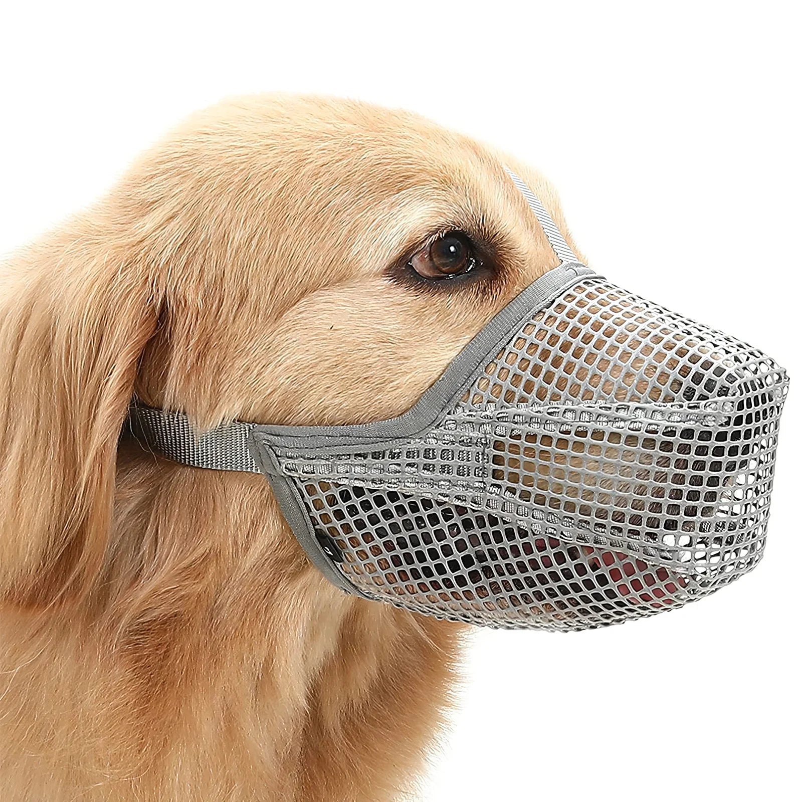 Custom Wide Greyhound Pitbull Working Mesh Muzzle Dog Dome for Biting Barking Chewing Control