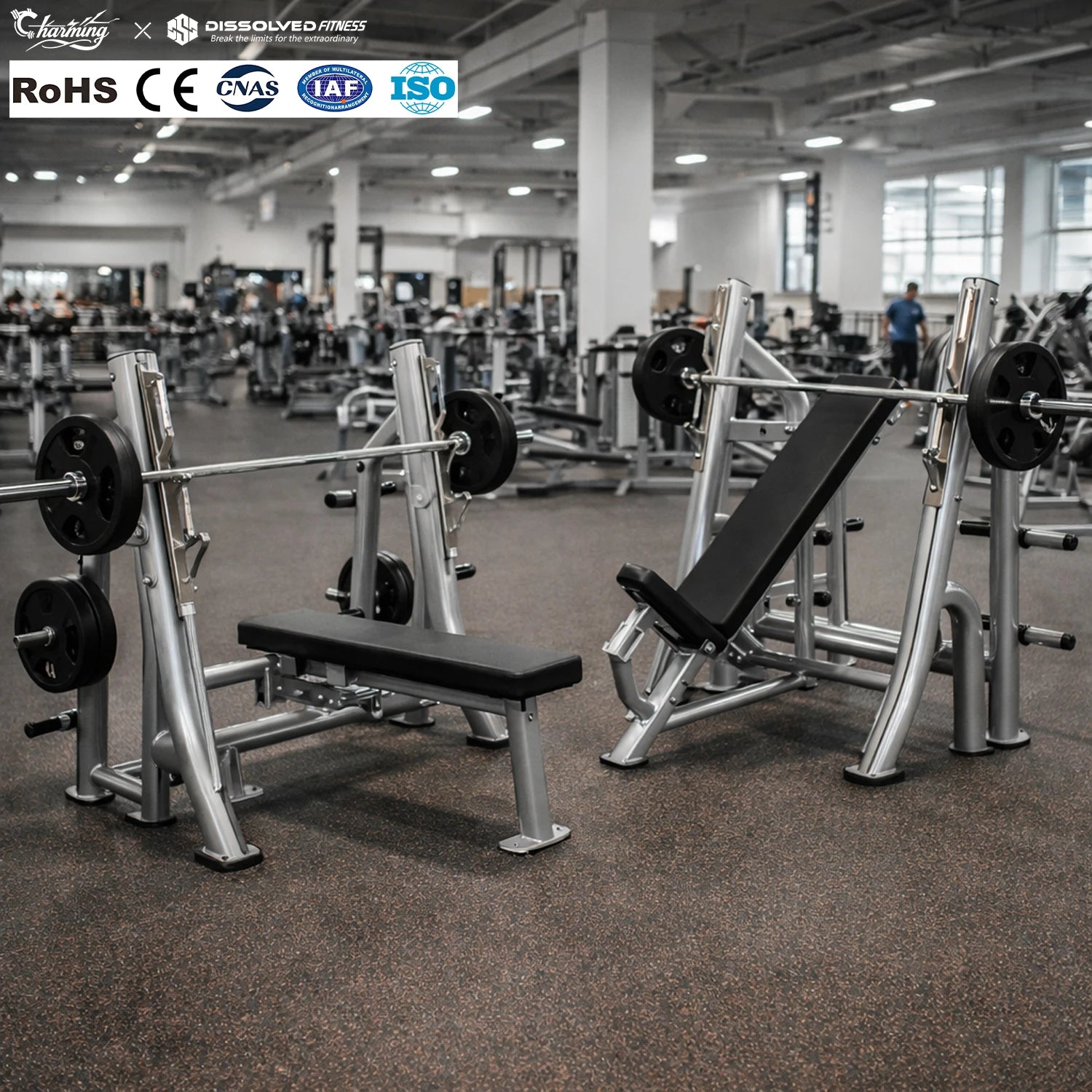 Decline Bench Press Rack Set Commercial Gym Equipment Steel Safety Durable Multi-Functional Full Set
