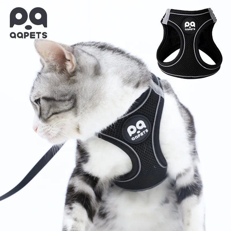 Hot Custom Black Cat Harness Escape Proof Design Large Cat Vest Harness with Padded Feature Made of Polyester Mesh