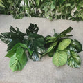 Artificial Green Plant  Leaves for Home Hotel Wall Plant Decor  Material