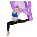 Power Training Muscle Exercise Gym Equipment Workout Custom Logo Fitness Pilates Nylon Triot Anti Gravity Aerial Yoga Hammock