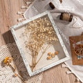 Cross-Border Wooden Photo Frame Transparent Flip Cover Dried Flower Specimen Display Box Three-Dimensional Hollow Medal Display