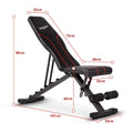 Multi in Stock Wholesale Modern Foldable Adjustable Weight Lifting Dumbbell Bench with Steel & Leather Construction