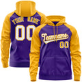 Custom 500 Gsm 100% Cotton Fabric Mens Hoodies Customize Blank Casual Oversized Hoodie Printing Embroidery Logo for Unisex