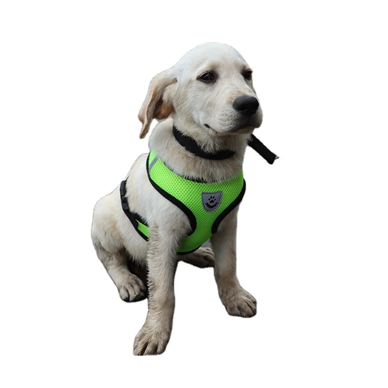 In Stock Low Price Breathable Mesh Alloy Polyester Dog Harness Leash Set Anti-Burst Pet Lead