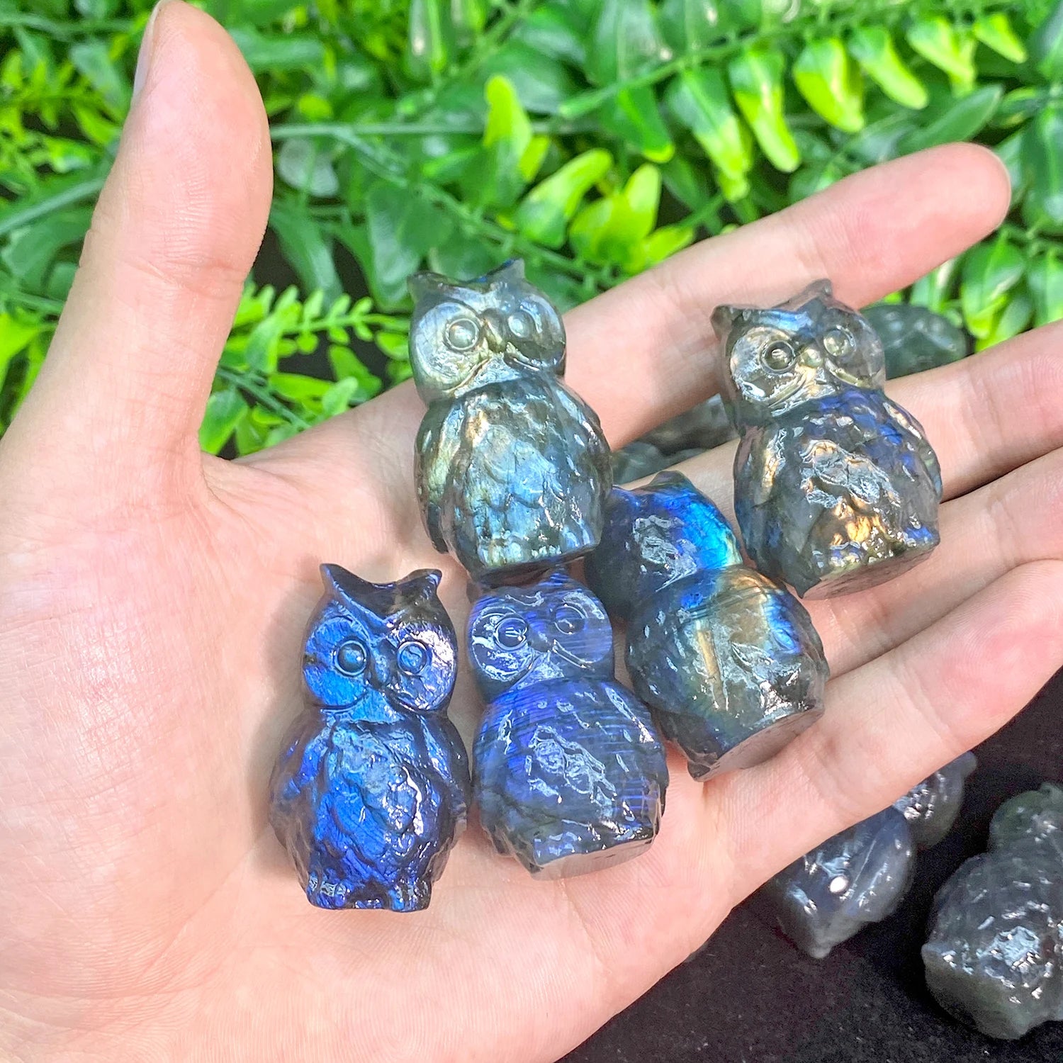Wholesale Natural Blue Flash Labradorite Animal Crystal Crafts Stereoscopic Owls Figurines for Home Decoration