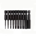 10-Piece Hexagon Socket Head S2 Electric Metric and Inch Screwdriver Bits Set Black/Silver Plastic Holder