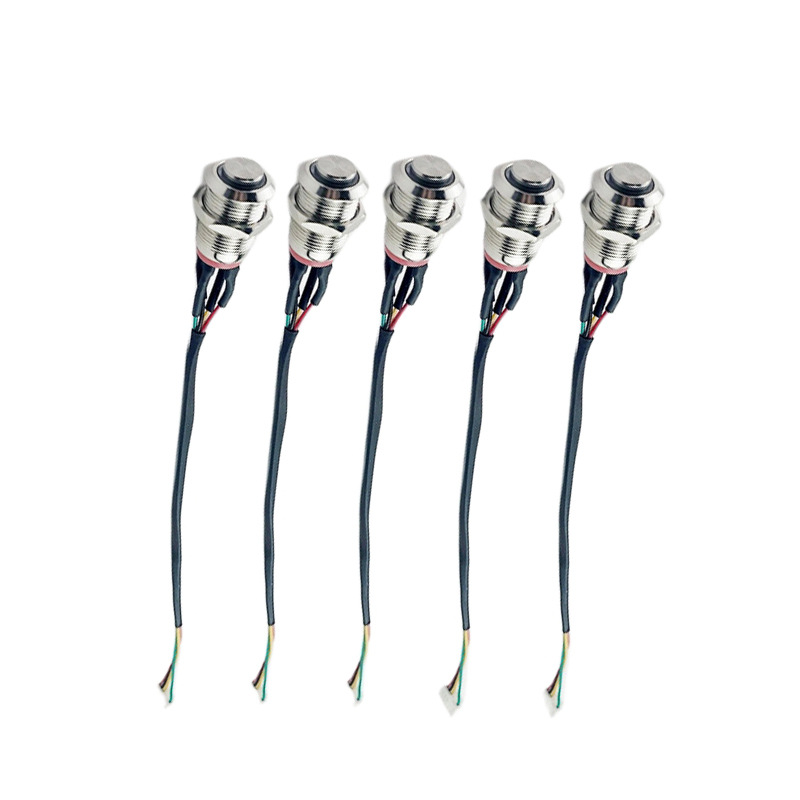 DDP Shipping JK JIKONG Smart Bms On/off Switch 500m Power Button Switch Button Wire with Switch for Jk Bms