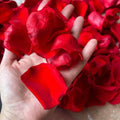 1kg Real Dried Rose Petals Preserved Flower Petals for Wedding Party Decor Flower Girl Dinner Table Centerpieces Bridal Shower MegaBDM