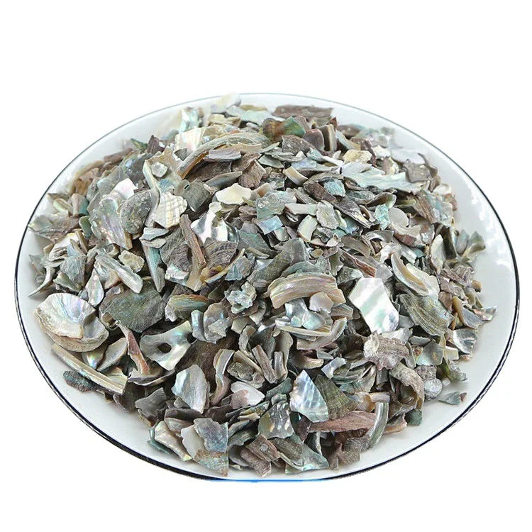 Shi Jue Ming Natural Bulk Blocks China Raw CONCHA HALIOTIDIS Haliotis Diversicolor Shells for Herb