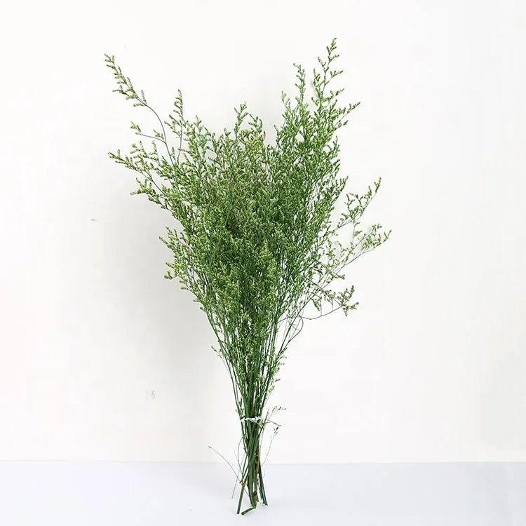 Caspia Wedding Decorative Flowers Preserved Natural Dried Flower Bouquet