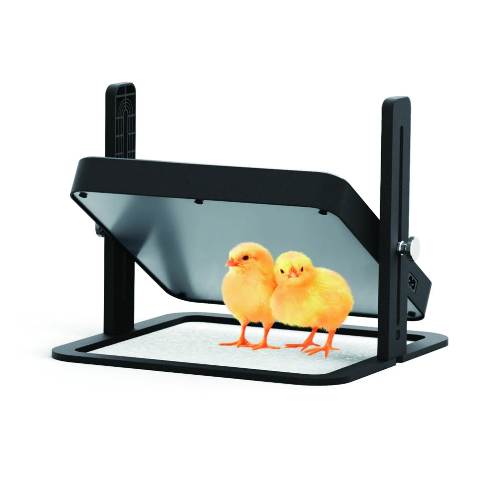 HHD WONEGG Heater Plate Equipments Poultry Gas Chick Brooder Diesel Box for Chicken