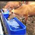 New Condition Horse Cow Cattle Automatic Drinkers Dairy Plastic Water Troughs for Sheep and Other Animals