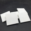 Big Size Square Ceramic Coralline Coral Frag Plugs Frag Plate Base