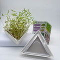 New Arrival Triangle Ceramic Tray OEM Cress Bowl Set for Seed Sprouting Stainless Steel Mesh for Mung Bean Seed Germination