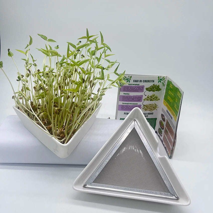 New Arrival Triangle Ceramic Tray OEM Cress Bowl Set for Seed Sprouting Stainless Steel Mesh for Mung Bean Seed Germination