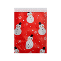 Filled Bubble Envelope Bags for Shipping Packages Custom Sizes and Prints According to the Product