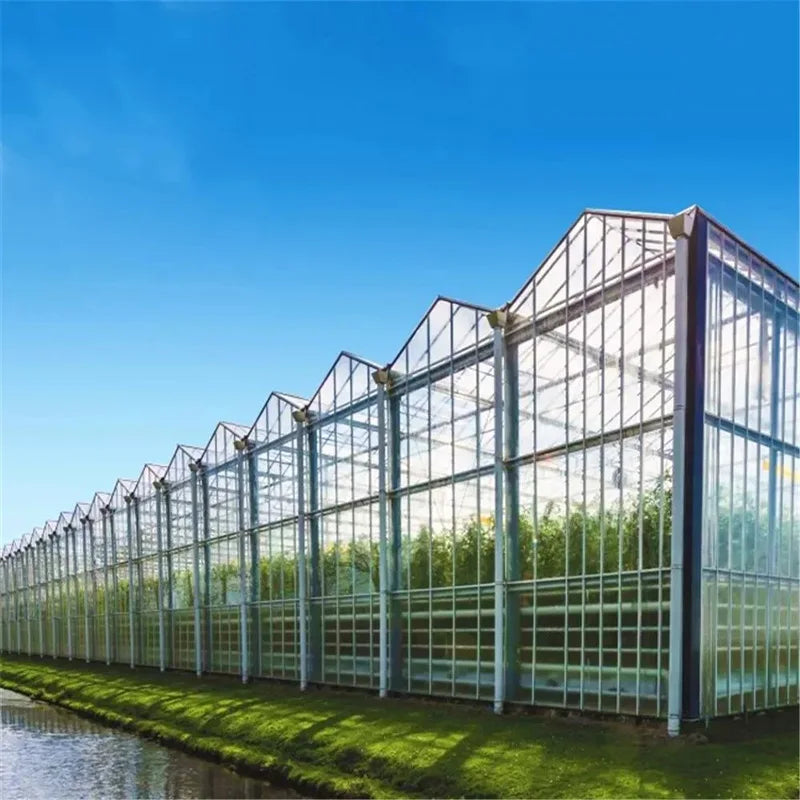 Skyplant Multi-Span Agricultural Glass Greenhouse - Large Branded Structure for Professional Commercial Farming