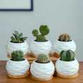China Factory Luxury Decorative Modern Indoor Mini Ceramic Succulent Planter Pot with Bamboo Tray for Garden Use