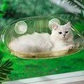 Customized Logo Cat Hammock Window Sleeping Bed Cat Window Perch Hammock for Cat Hanging Seat Wall Furniture