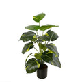 66cm Height Dieffenbachia Plants Tropical Plants Artificial Plant Artificial Tree Indoor Use
