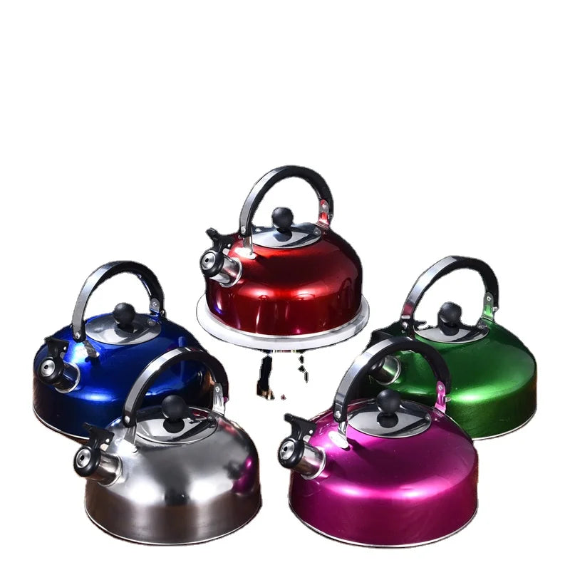 Factory Direct Sales of 5-liter Stainless Steel Kettle with Handle Available in Multiple Colors