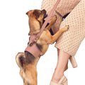 Minimalist Pu Leather Small Puppy Dog Harness Adjustable Pet Dog Harness