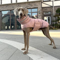 High Quality Pet Luxury Winter Jacket Dog Coat Designer Dog Fall Winter Clothes