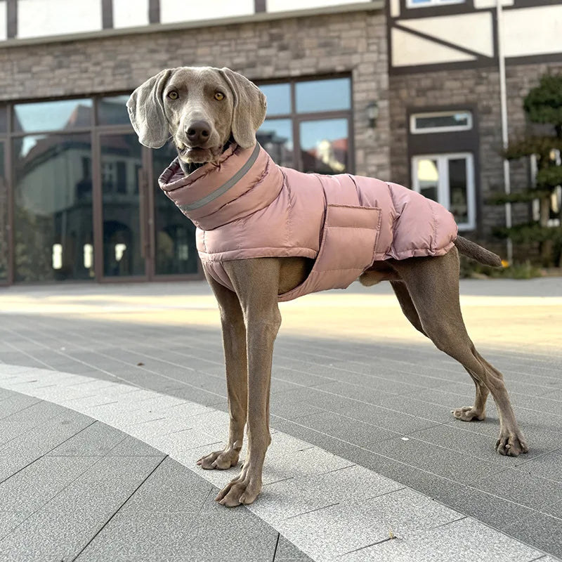 High Quality Pet Luxury Winter Jacket Dog Coat Designer Dog Fall Winter Clothes
